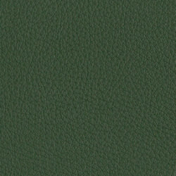 L0147 （ダークグリーン）