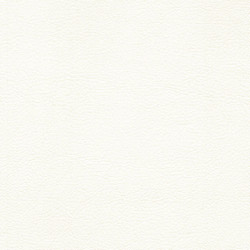 S0103 （アイボリー）