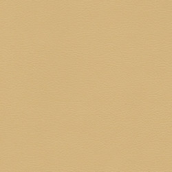 S0175 （ベージュ）