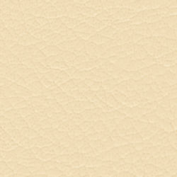 V0103 （アイボリー）