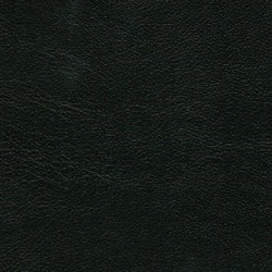 V0199（ブラック）